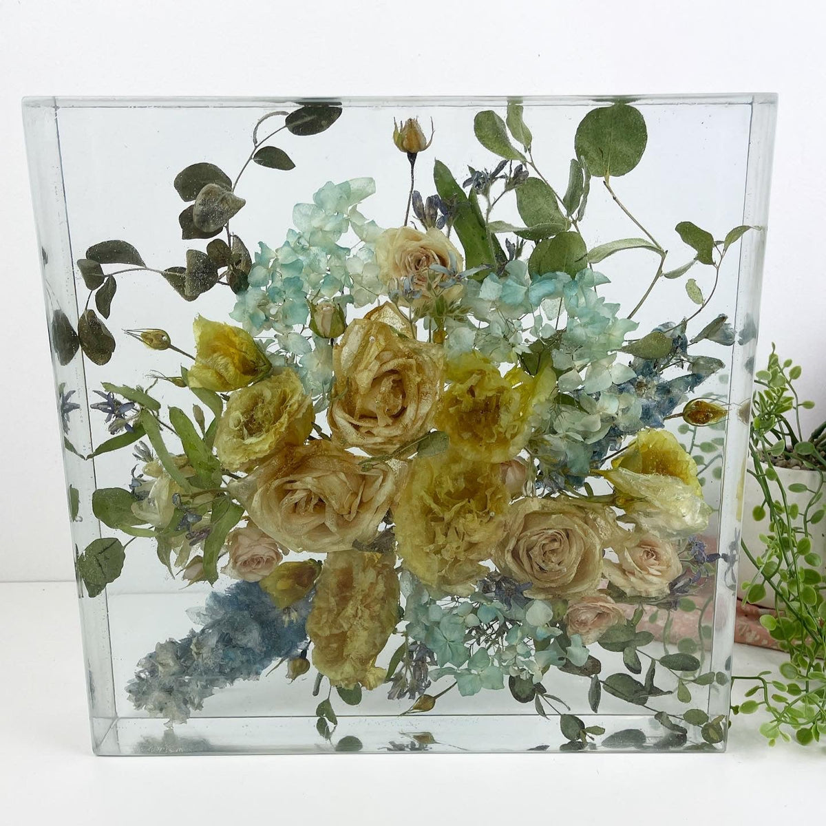 Square glass block with pressed flowers on a white background