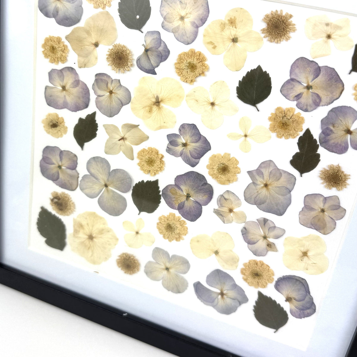 250x250mm Press flower Frames