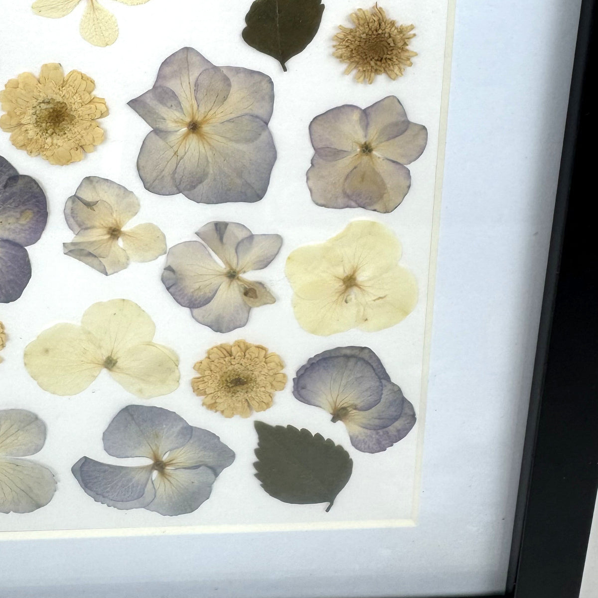 250x250mm Press flower Frames