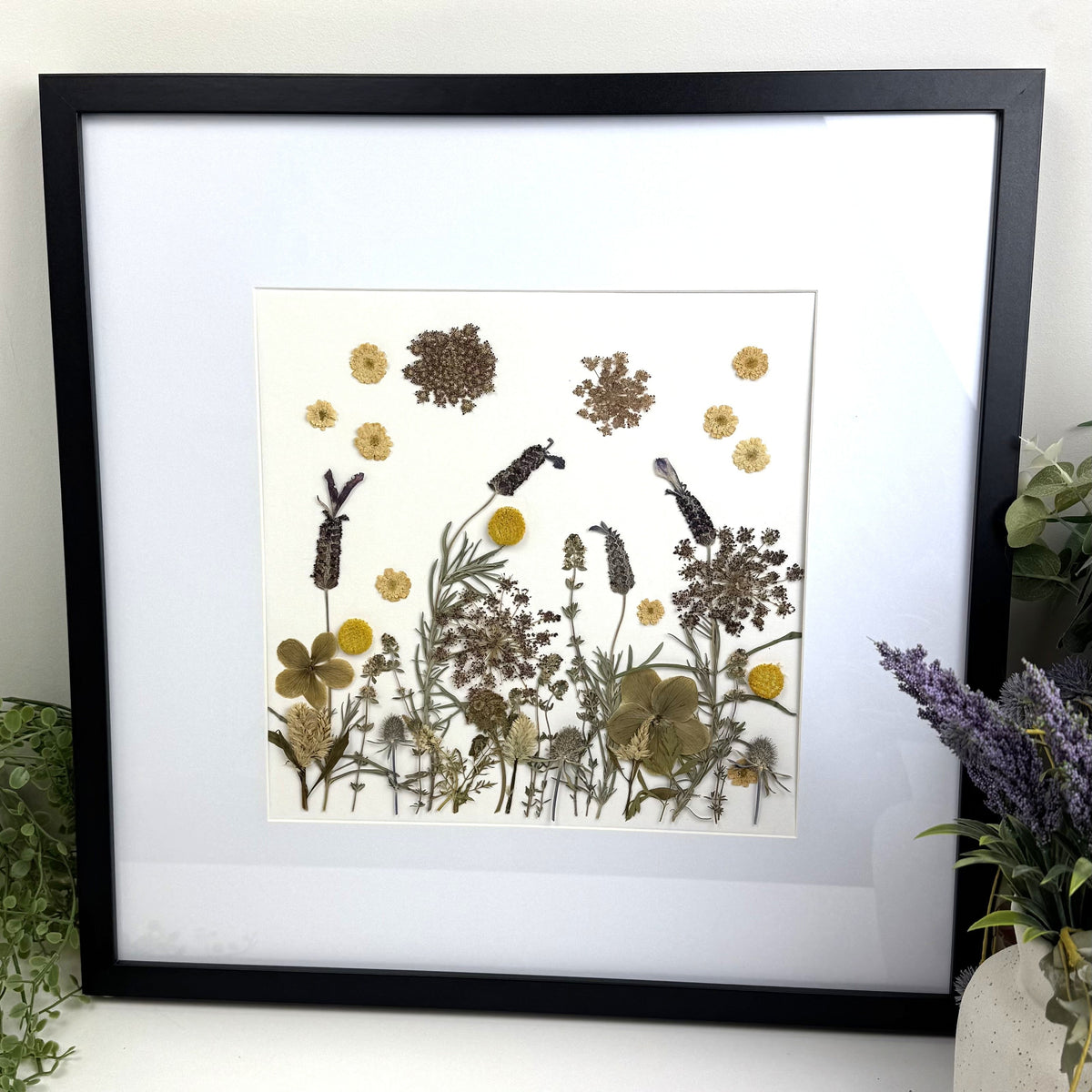 A framed pressed botanical art piece with dried flowers and stems on a white background, enclosed in a black frame with a white mat. The piece is displayed indoors with greenery and a lavender plant at the sides.