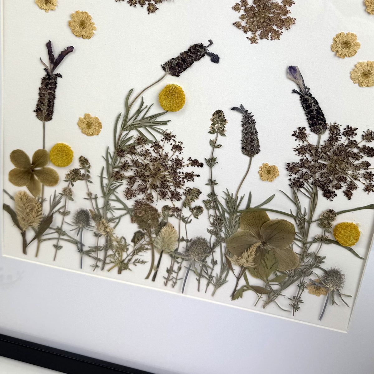 480x480 Pressed flower Frames